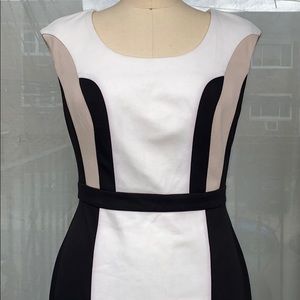 Calvin Klein Career Dress